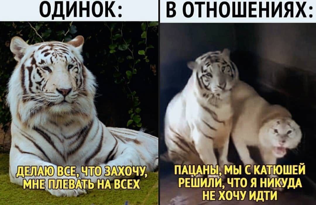 В ОТНОШЕНИЯХ 9 пдцаъщ мы стщюшкёй РЕШИЛИ что я Н_ЦИКФДА _ нехочуидти __ дыша ЁЁДЧЮ дзы ПЛЕМЬ НА 13
