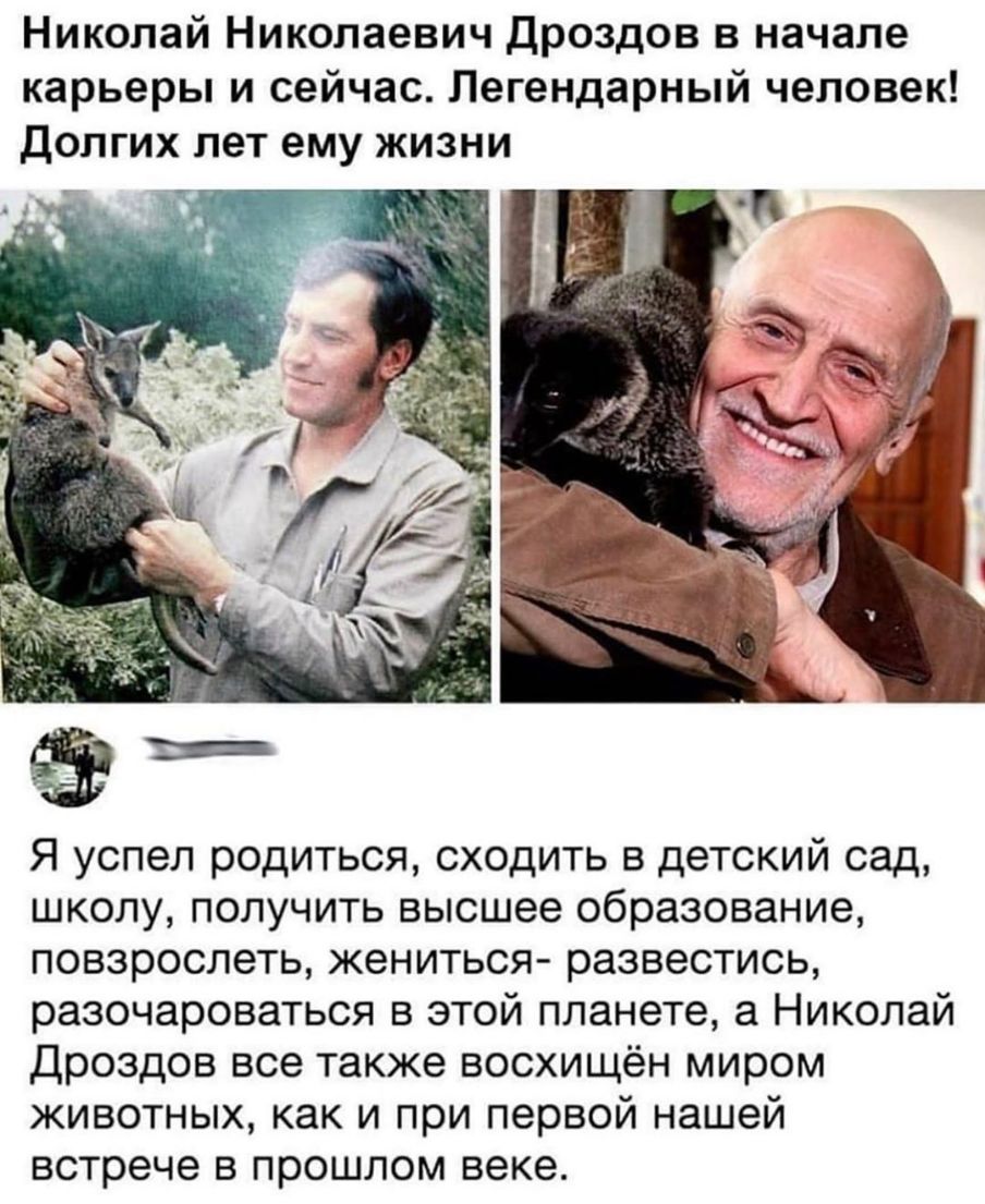 Николай Николаевич дроздов в начале карьеры и сейчас Легендарный человек Долгих лет ему жизни Я успел родиться сходить в детский сад школу получить высшее образование повзрослеть жениться развестись разочароваться в этой планете а Николай Дроздов все также восхищён миром животных как и при первой нашей встрече в прошлом веке