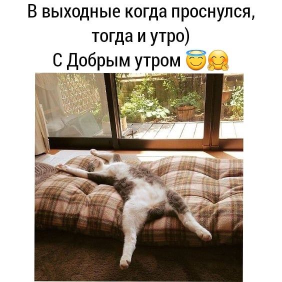 В выходные когда проснулся тогда и утро