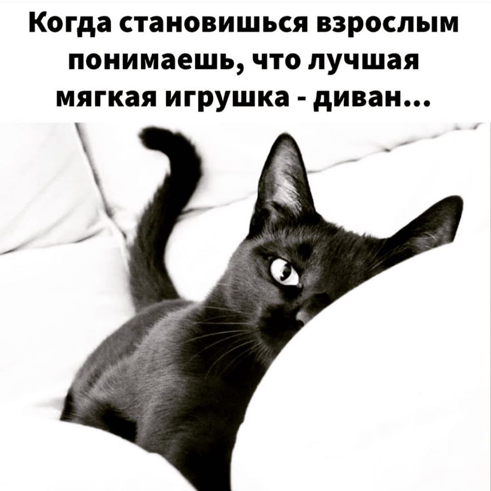 Когда становишься взрослым понимаешь что лучшая мягкая игрушка диван
