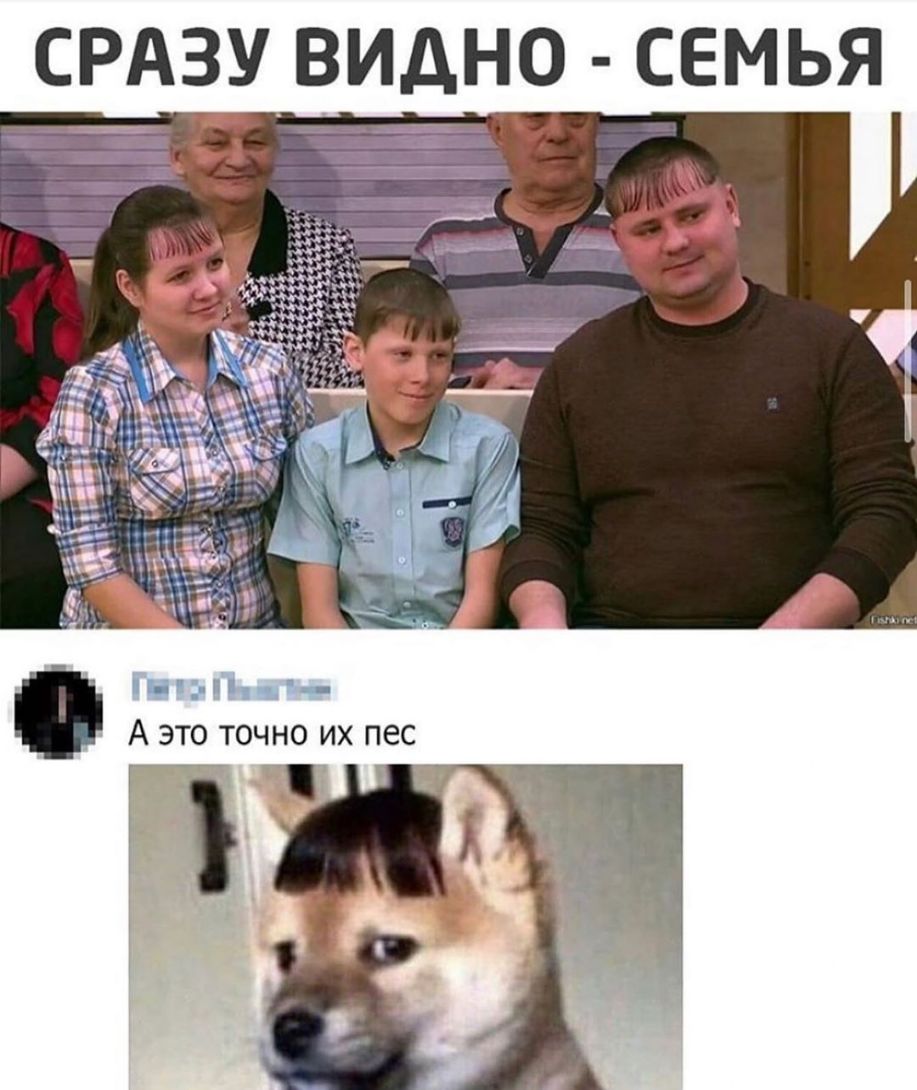 я В М Е С О Н А и В У 3 А Р С