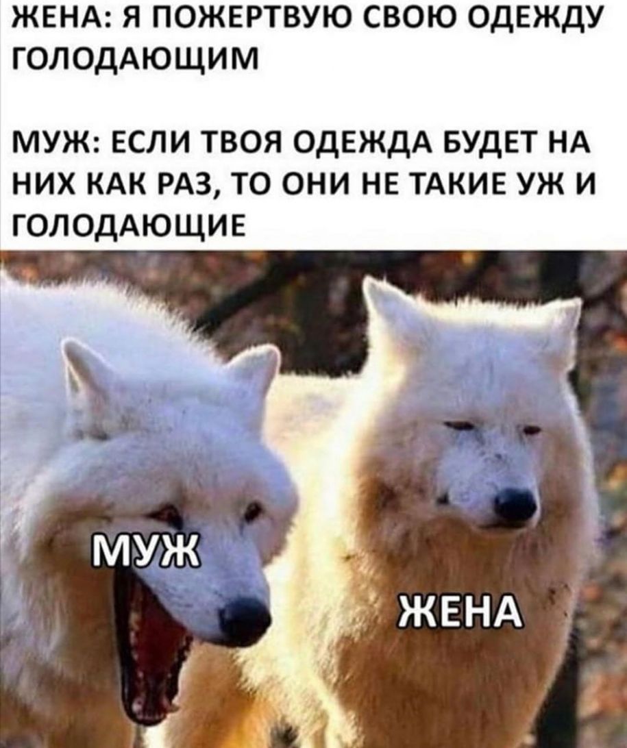 ЖЕНА я пожертвую свою ОДЕЖДУ голодАющим МУЖ ЕСЛИ ТВОЯ ОДЕЖДА БУДЕТ НА НИХ КАК РАЗ ТО ОНИ НЕ ТАКИЕ УЖ И ГОЛОДАЮЩИЕ