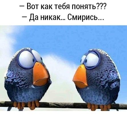 Вот как тебя понять Да никак Смирись