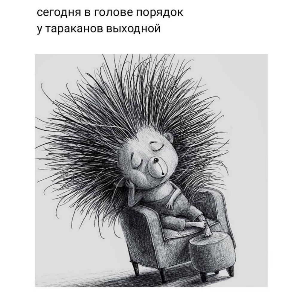 сегодня в голове порядок у тараканов выходной