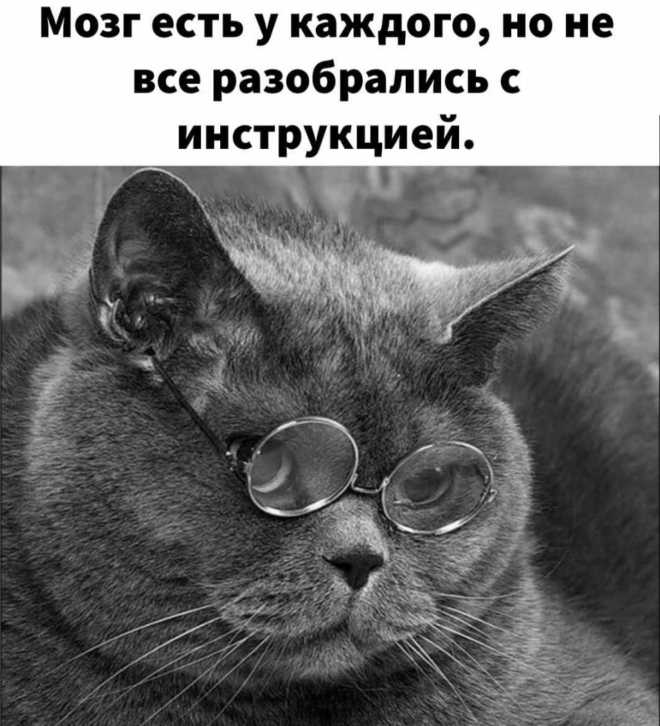 Мозг есть у каждого но не все разобрались инструкцией