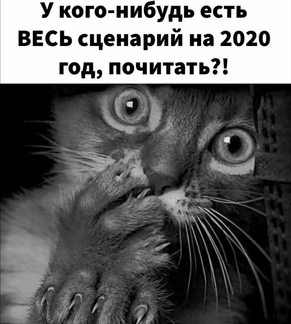 У кого нибудь есть ВЕСЬ сценарий на 2020 год почитать