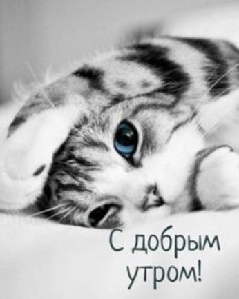 доб утроекіМ