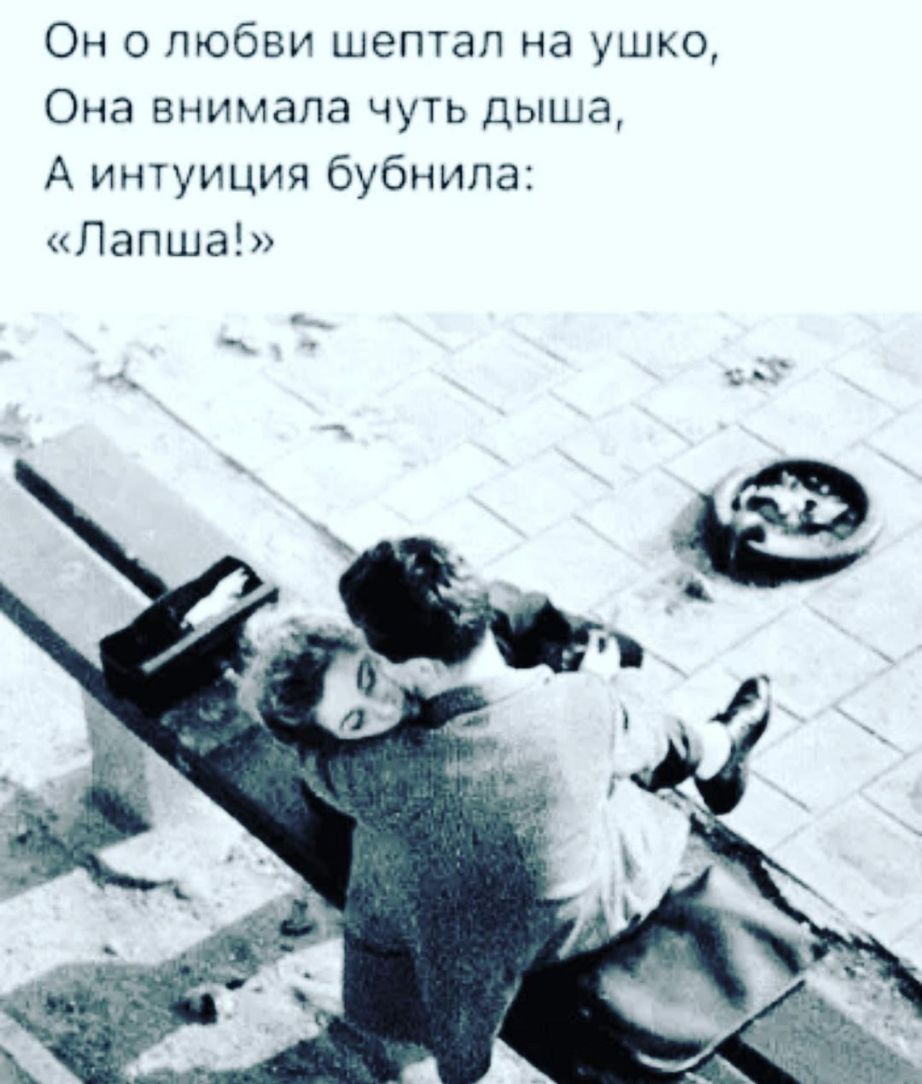 Он о любви шептал на ушко Она внимала чуть дыша А интуиция бубнипа Лапша