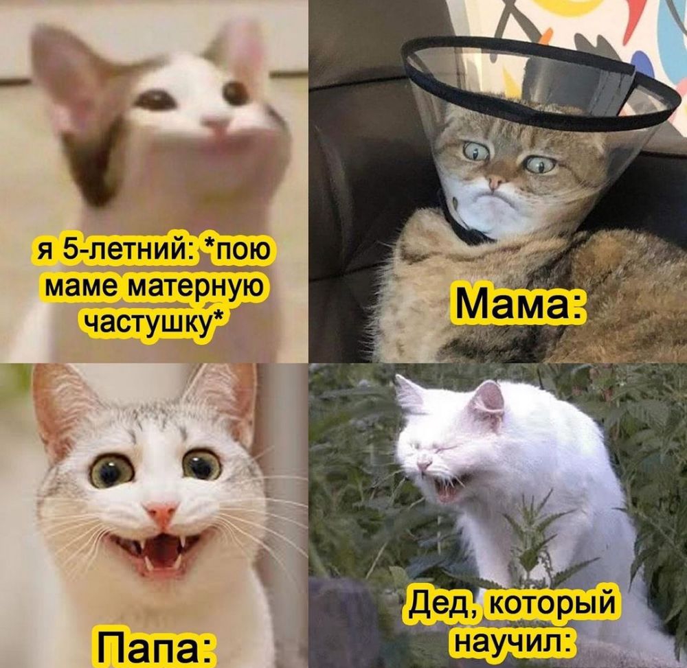 я 5 петний пою маме матернуіо частушку
