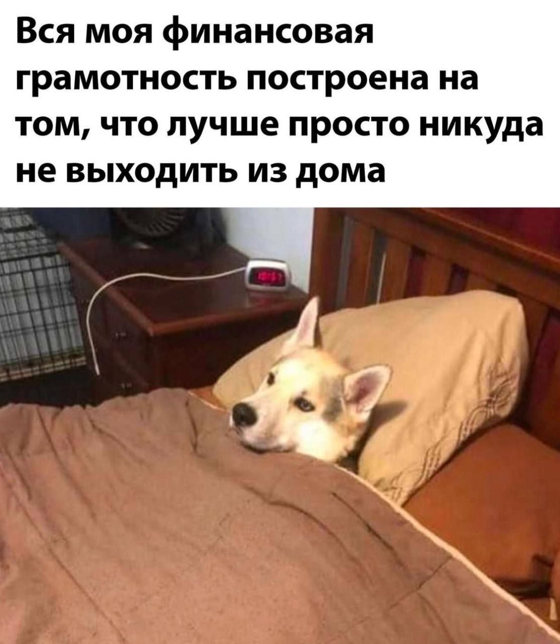 Вся моя финансовая грамотность построена на том что лучше просто никуда не ВЬХ0дИТЬ ИЗ дома
