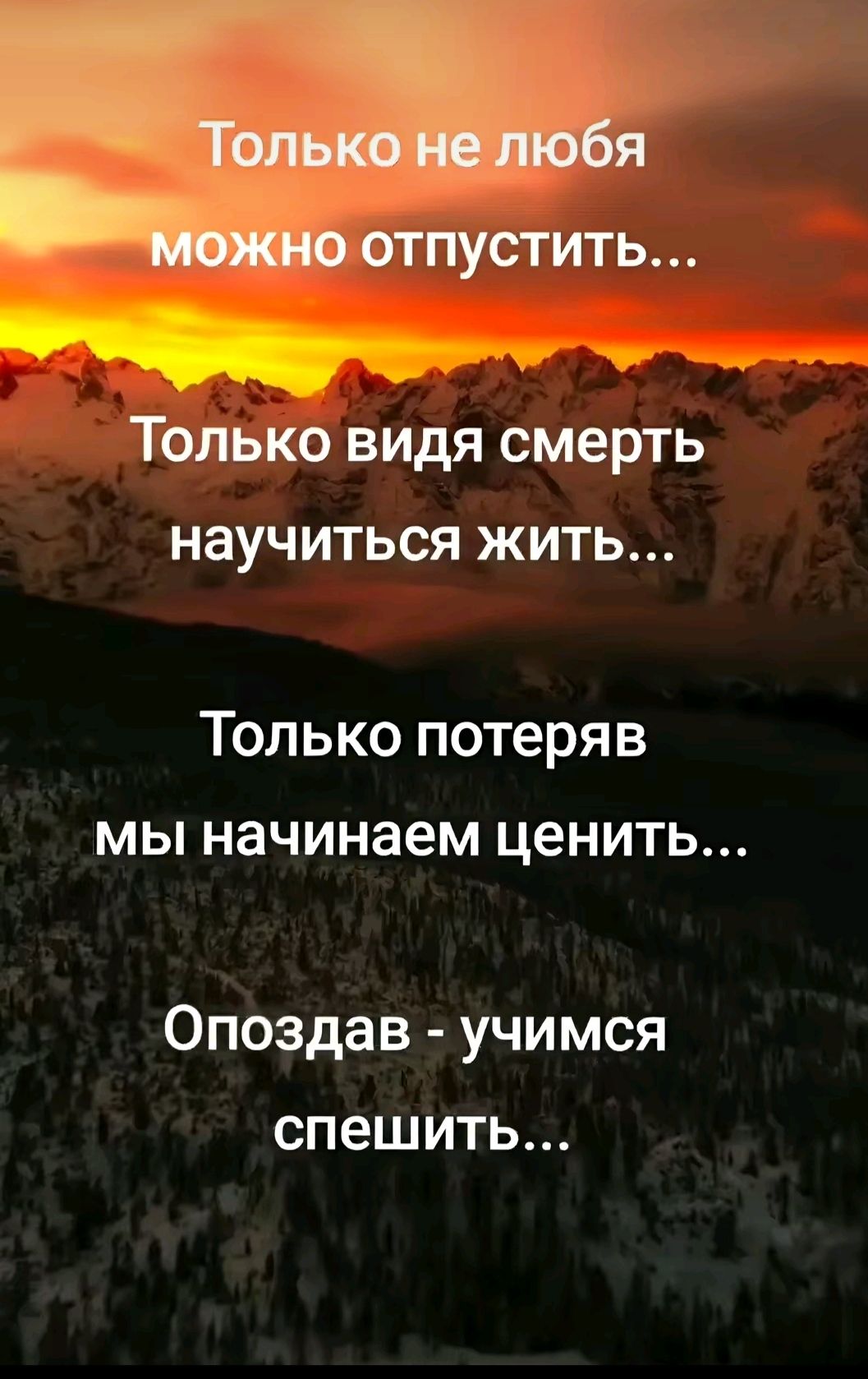 Только видя смерть научиться жить Только потеряв мы начинаем ценить Опоздав учимся спешить