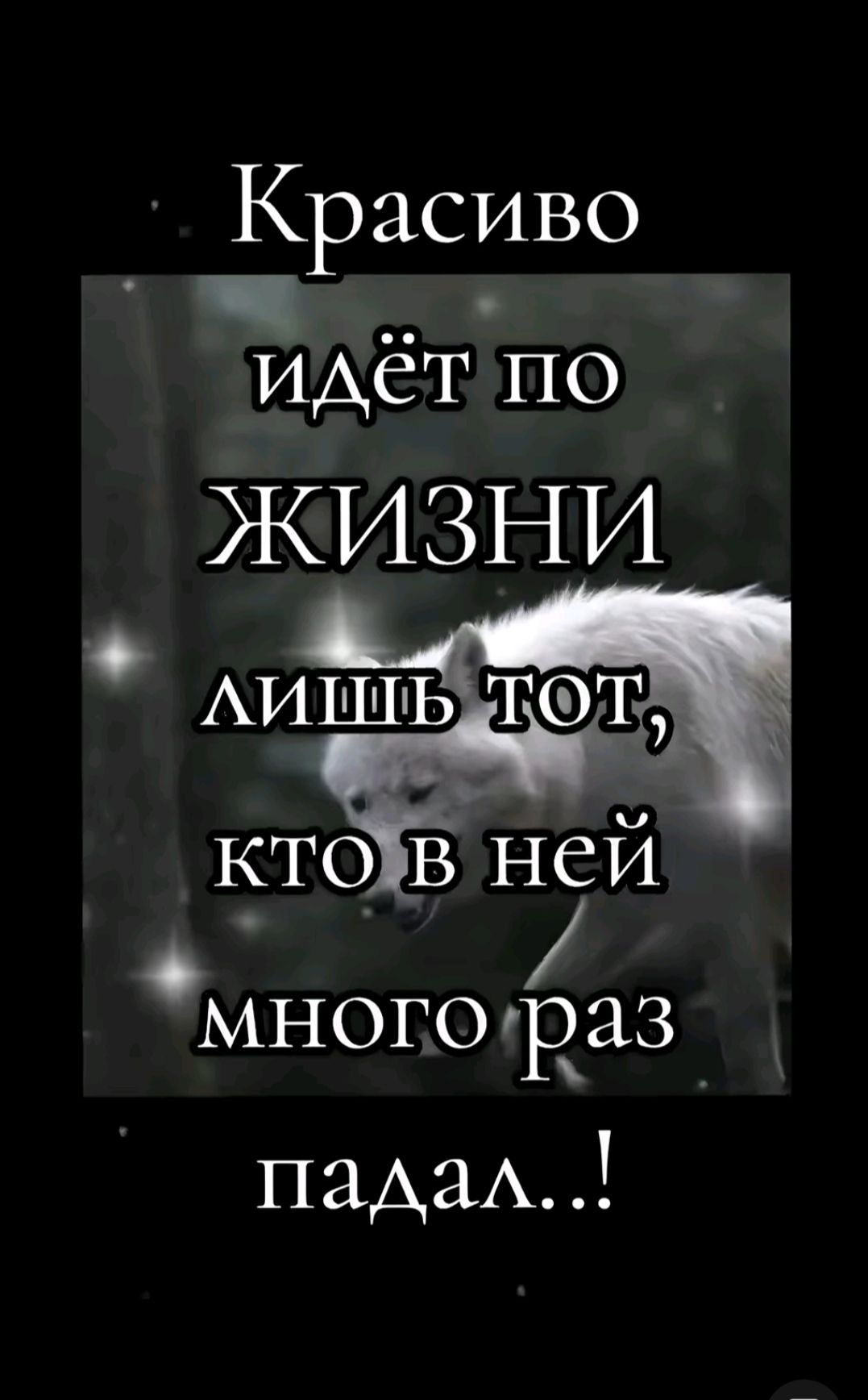 Красиво илёт по ЖИзЗНИ ы мпцшьті тд кТОЁВ ней М многораз падал