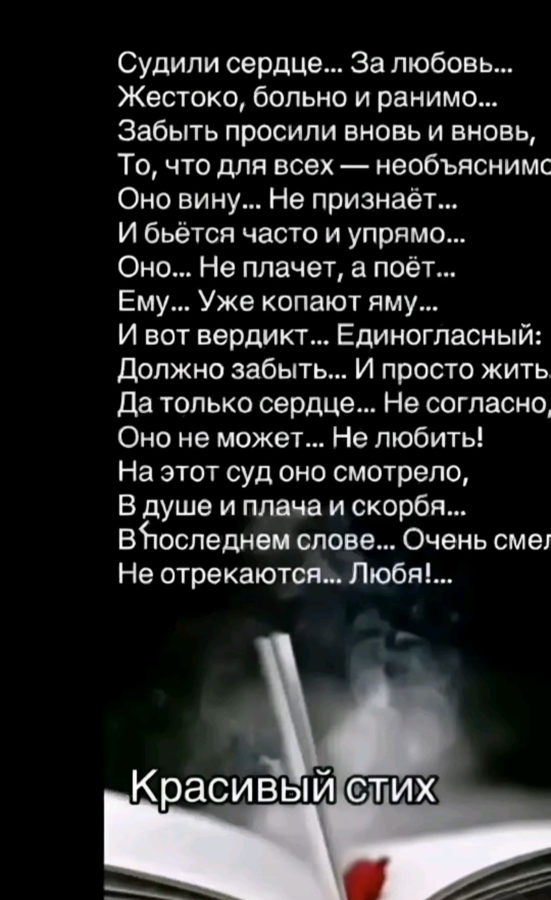 Судили сердце... За любовь...
Жестоко, больно и ранимо...
Забыть просили вновь и вновь,
То, что для всех — необъяснимо.
Оно вину... Не признаёт...
И бьётся часто и упорно...
Оно... Не плачет, а поёт...
Ему... Уже копают яму...
И вот вердикт... Единогласный:
Должно забыть... И просто жить...
Да только сердце... Не согласно,
Оно не может... Не любить!
На этот суд оно смотрело,
В душе и плача и скорби...
В последнем слове... Очень смело
Не отрекаются... Любя!...