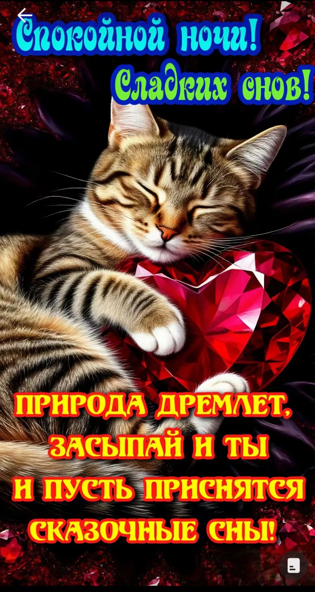 Спокойной ночи! Сладких снов! Природа дремлет, засыпай и ты и пусть приснятся сказочные сны!