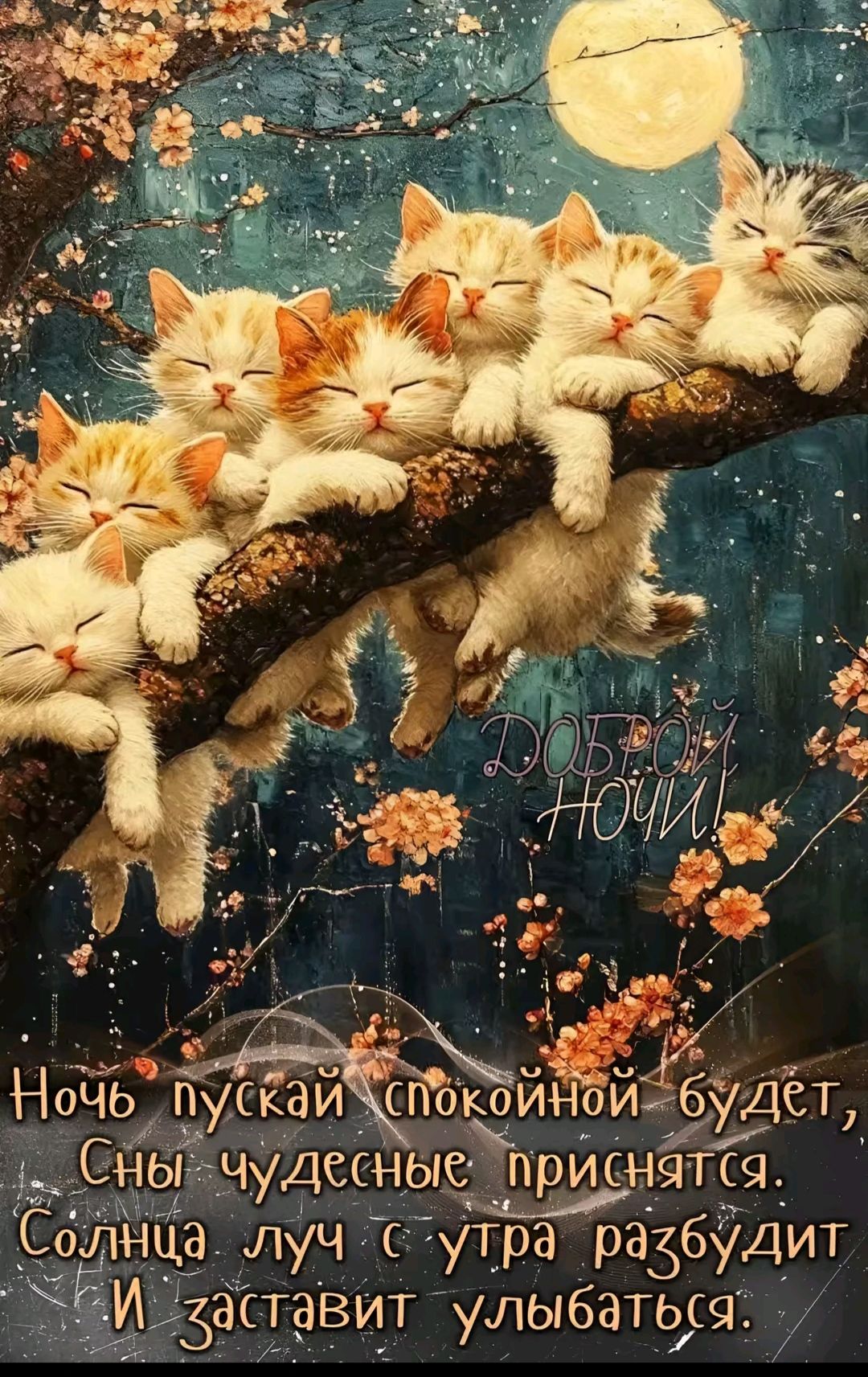 Ночь пускай спокойной будет, Сны чудесные приснятся. Солныца луч с утра разбудит И заставит улыбаться.