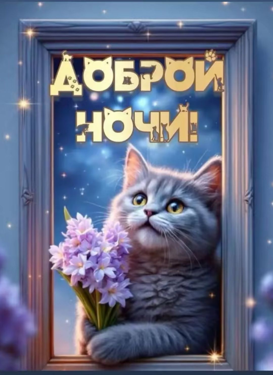 ДОБРОЙ НОЧИ!