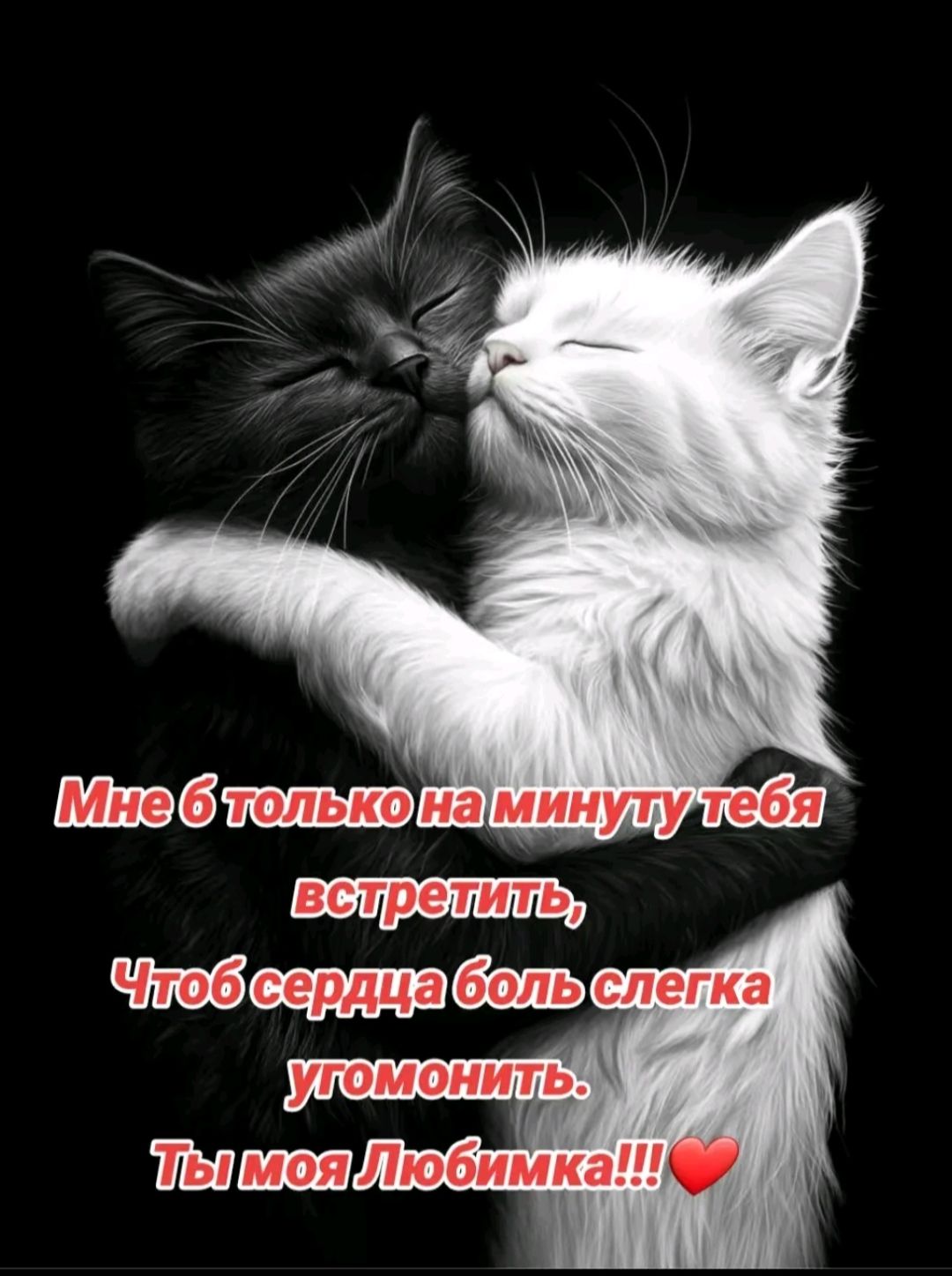 Мне б только на минуту тебя встретить,
Чтоб сердца боль слегка угомонить.
Ты моя Любимка!!!❤️