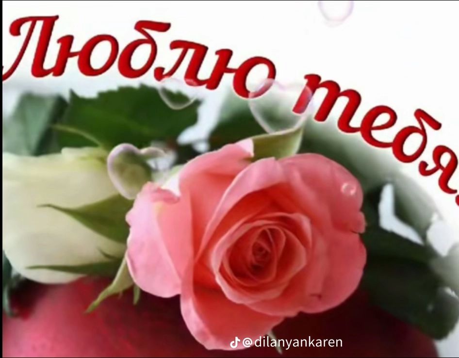 Люблю тебя