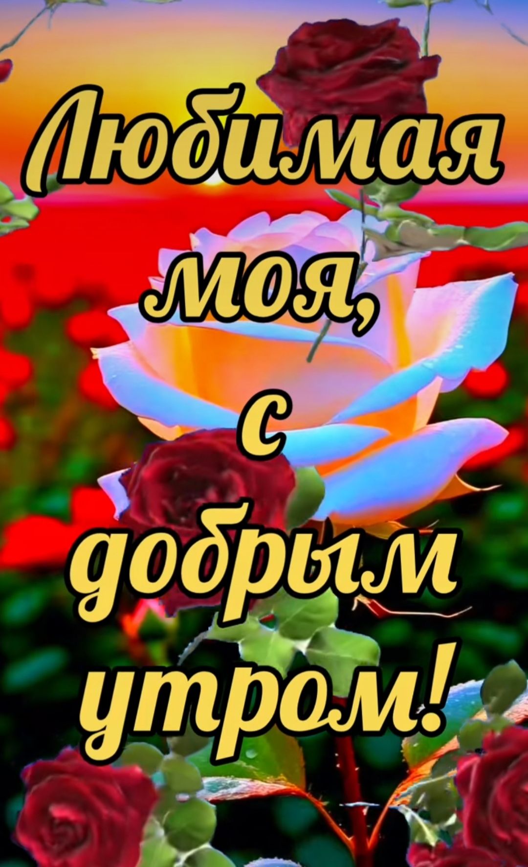 Любимая моя, с добрым утром!