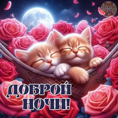 ДОБРОЙ НОЧИ!