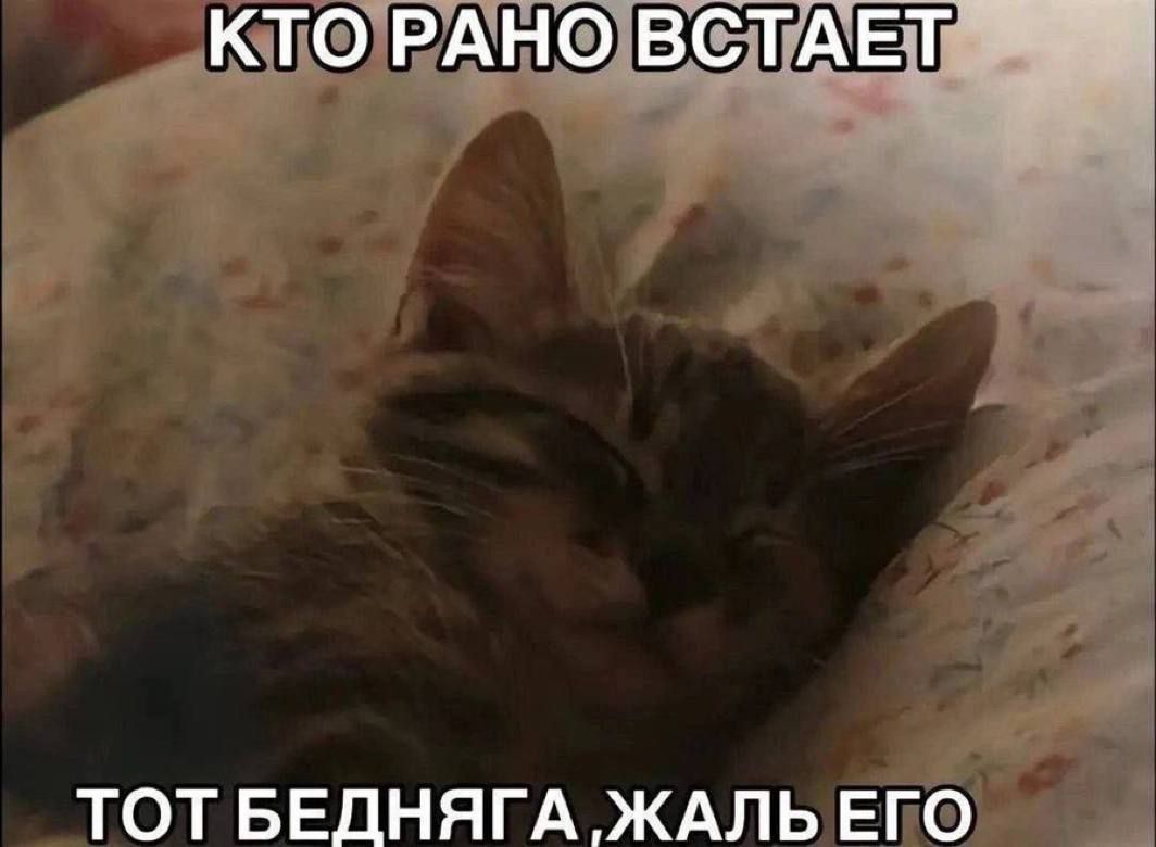 КТО РАНО ВСТАЕТ Тот бедняга, жаль его