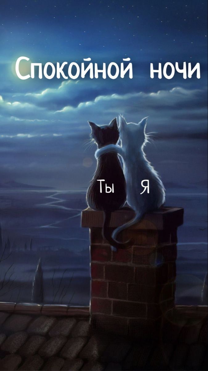 Спокойной ночи
Ты
Я