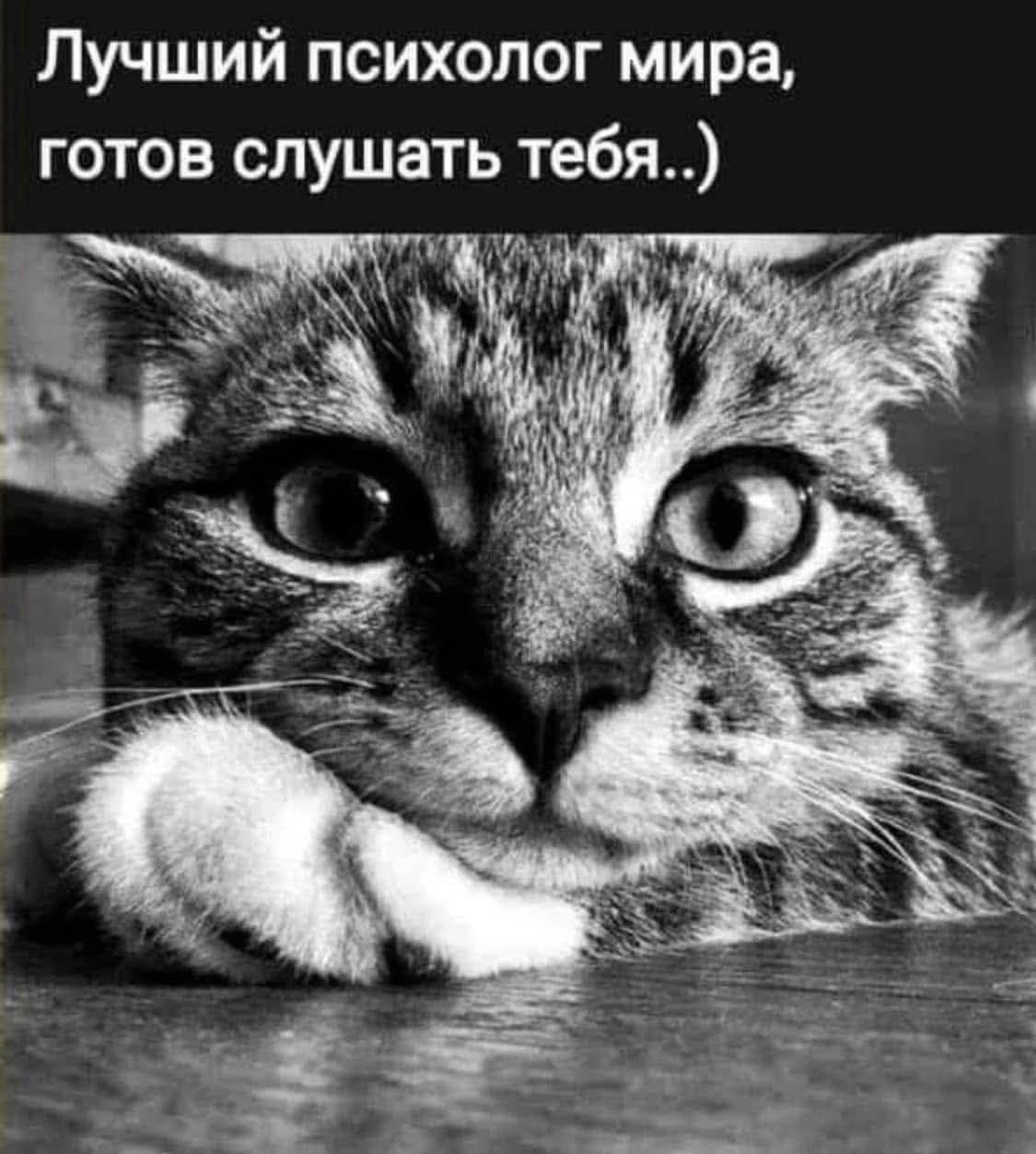 Лучший психолог мира, готов слушать тебя..)