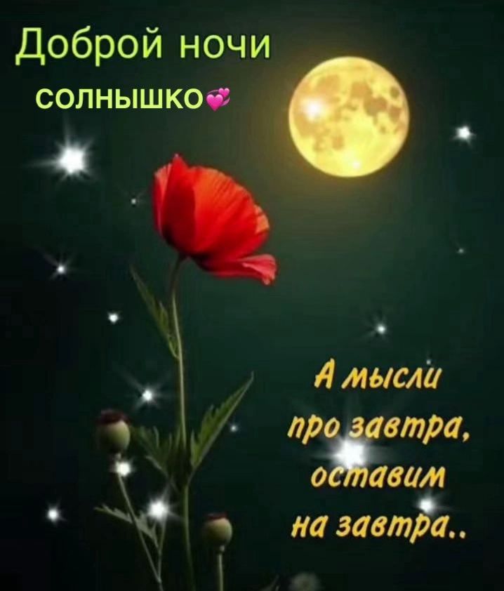 Доброй ночи солнышко💖 А мысли про завтра, оставим на завтра..