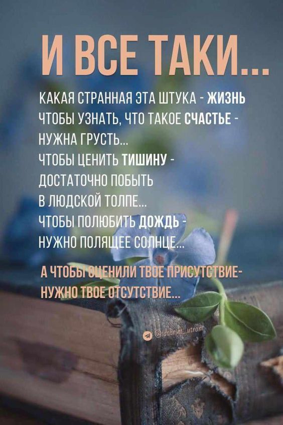 И ВСЕ ТАКИ...

КАКАЯ СТРАННАЯ ЭТА ШТУКА - ЖИЗНЬ
ЧТОБЫ УЗНАТЬ, ЧТО ТАКОЕ СЧАСТЬЕ -
НУЖНА ГРУСТЬ...

ЧТОБЫ ЦЕНИТЬ ТИШИНУ -
ДОСТАТОЧНО ПОБЫТЬ
В ЛЮДСКОЙ ТОЛПЕ...

ЧТОБЫ ПОЛЮБИТЬ ДОЖДЬ -
НУЖНО ПОЛЯШЕЕ СОЛНЦЕ...

А ЧТОБЫ ОЦЕНИЛИ ТВОЕ ПРИСУТСТВИЕ-
НУЖНО ТВОЕ ОТСУТСТВИЕ...