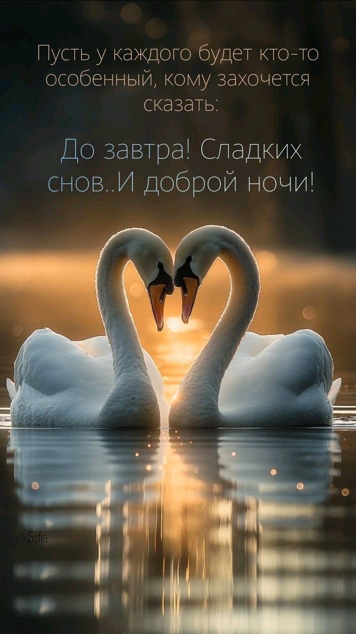 Пусть у каждого будет кто-то особенный, кому захочется сказать.
До завтра! Сладких снов. И доброй ночи!