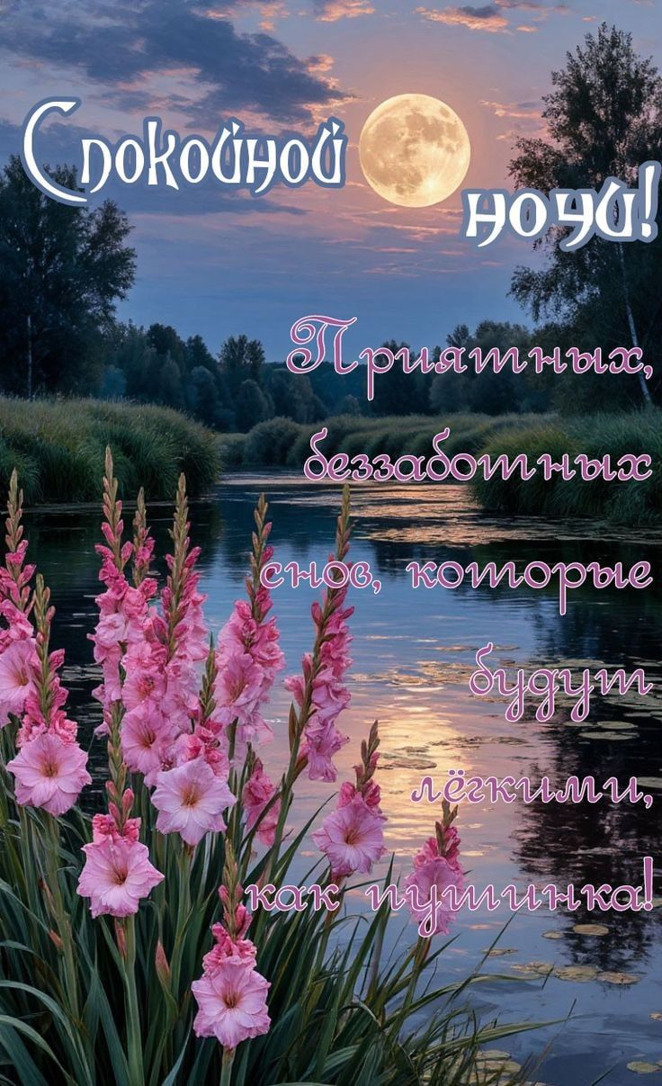 Спокойной ночи! Приятных, беззаботных снов, которые будут лёгкими, как пушинки!