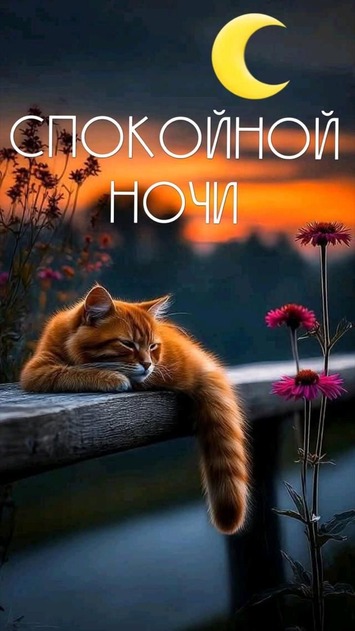 СПОКОЙНОЙ НОЧИ