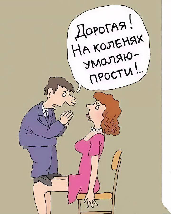 Дорогая! На коленях умоляю – прости!..