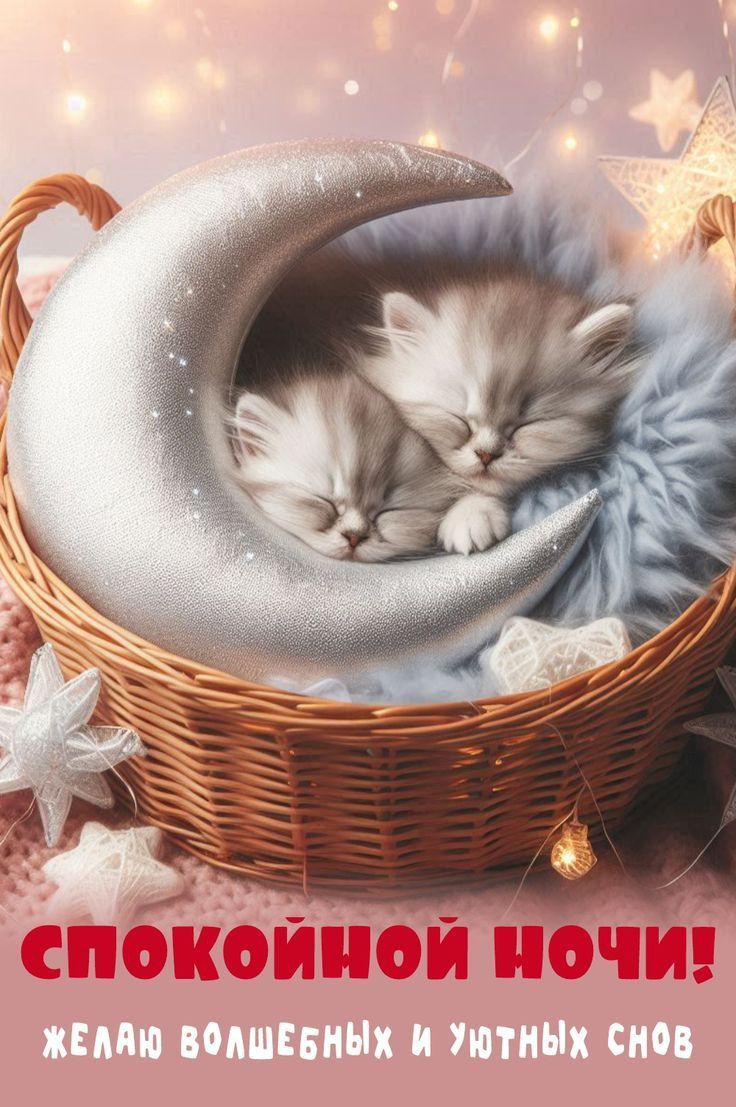 СПОКОЙНОЙ НОЧИ! ЖЕЛАЮ ВОЛШЕБНЫХ И УЮТНЫХ СНОВ