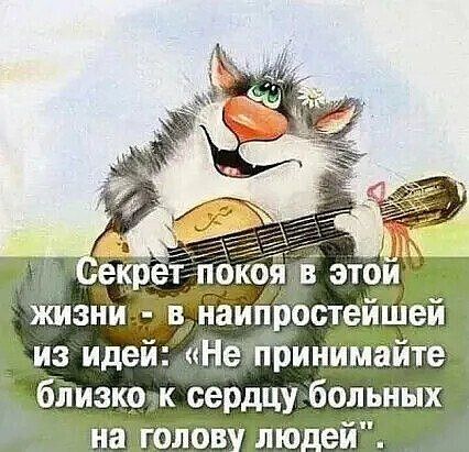 аиг1ростей1ііей из идей Не принимайте близко к сердцу больных начголов лю_еи