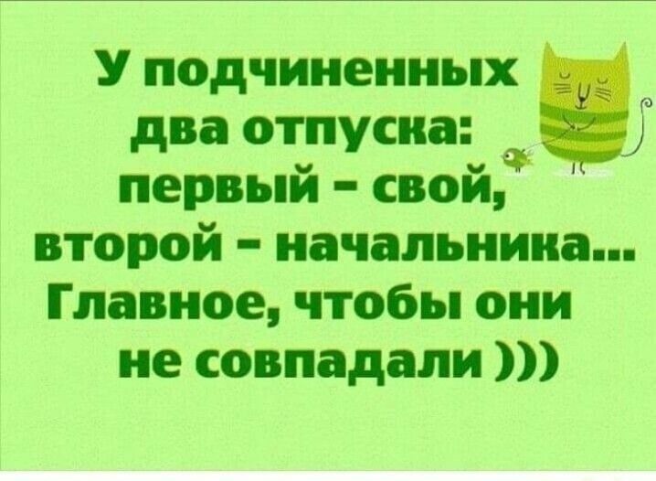 У подчиненных два отпускай Ф первым свои второй начальника Главное чтобы они не совпадали