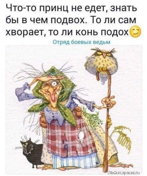 Что то принц не едет знать бы в чем подвох То ли сам ХВОРЗЕТ ТО ЛИ КОНЬ ПОДОХ 3 Отрядбоиыи ведьм