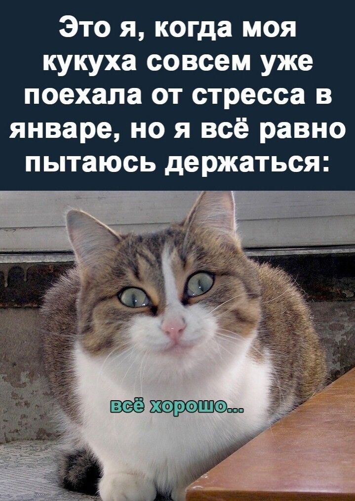 Это я когда моя кукуха совсем уже поехала от стресса в январе но я всё равно пытаюсь держаться