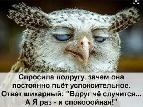 Спросила подругу зачем она постоянно пьёт успокоительное Огнет шикарный Вдруг чё случится А Я раз и спокооойная