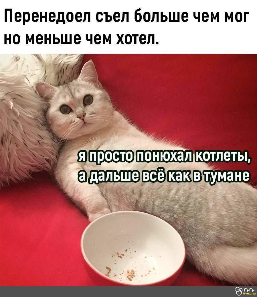 Перенедоеп съел Больше чем мог НО меньше ЧЕМ ХОТЕЛ