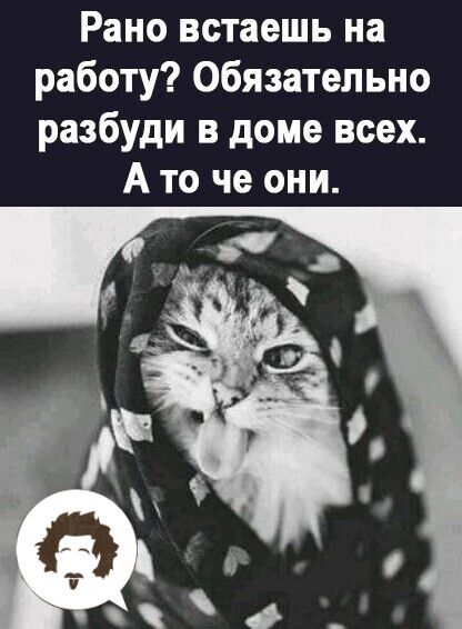 Рано встаешь на работу Обязательно разбуди в доме всех А то че они