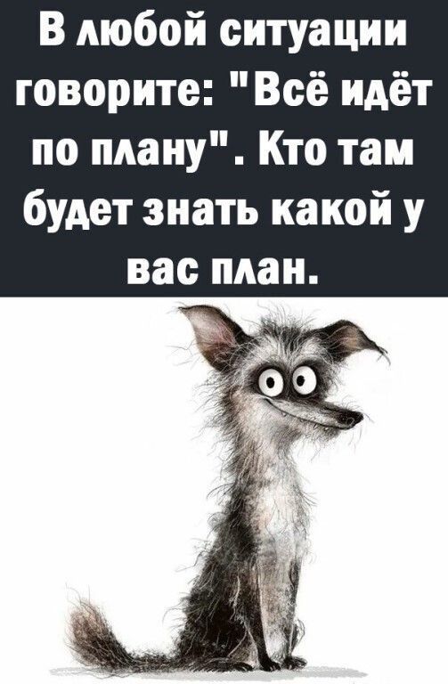 В любой ситуации говорите Всё идёт по плану Кто там будет знать какой у вас план