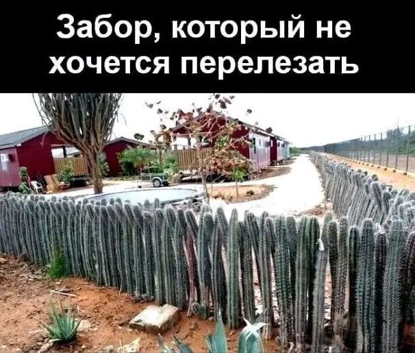 Забор который не хочется перепезать