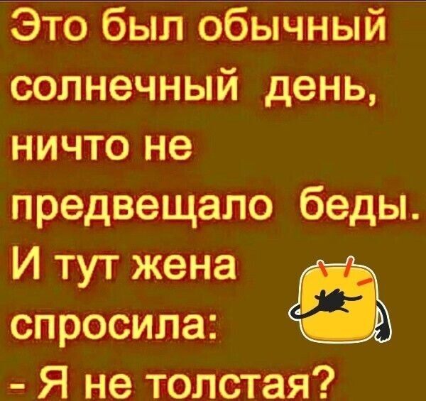 солнечный день ничто не предвещало беды И тут жена спросила Я не толстая