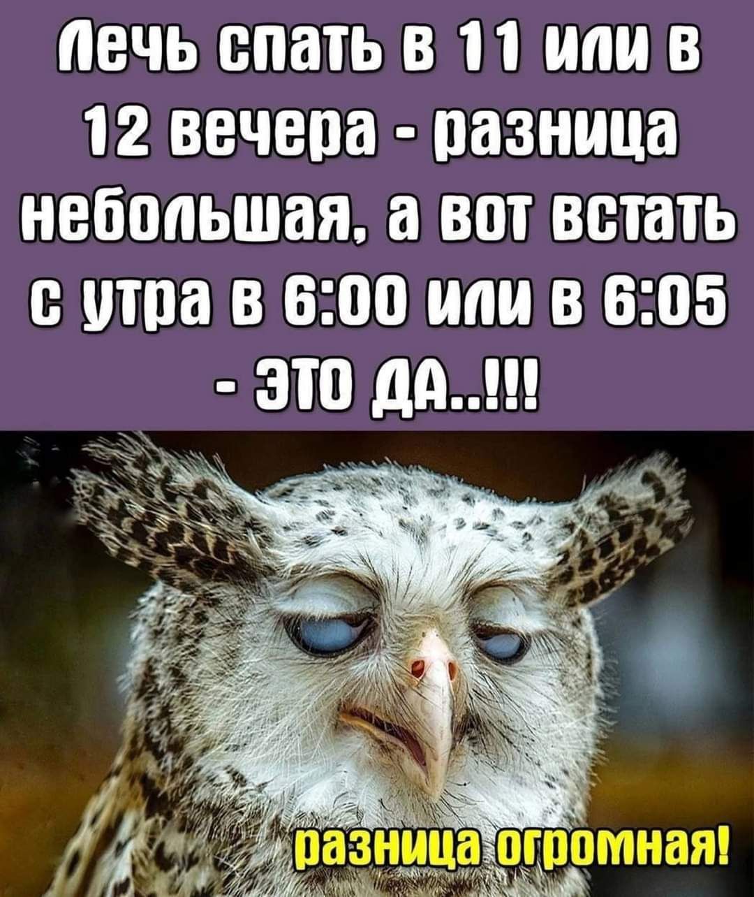 ЕЧЬ спать В П В 12 ВВЧЕПВ ПЗЗНМЦЗ НВБППЬШЗЯ а ВОТ встать ШИН В 600 В 505 ЭТП Д