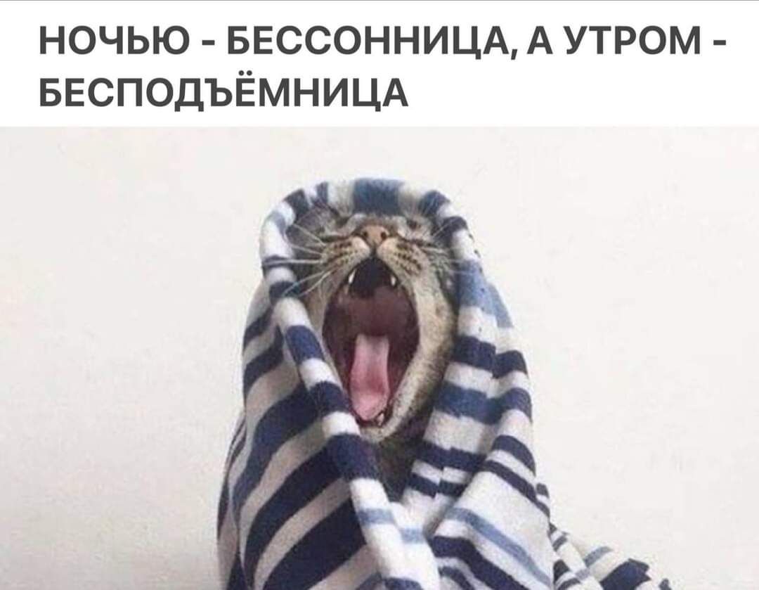 НОЧЬЮ БЕССОННИЦА А УТРОМ БЕСПОДЪЁМНИЦА