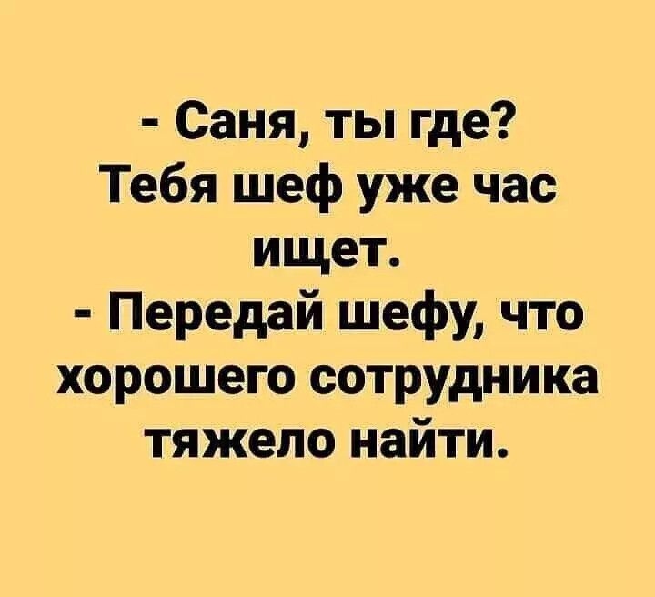 Саня ты где Тебя шеф уже час ищет Передай шефу что хорошего сотрудника тяжело найти