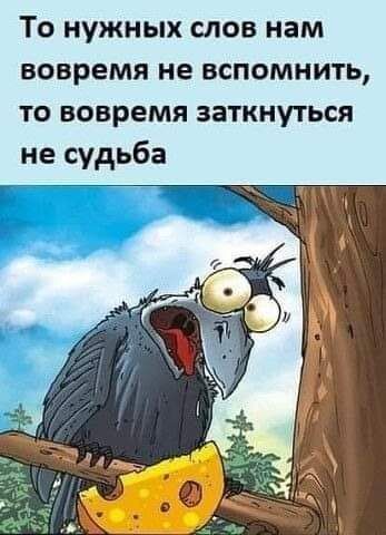 То нужных слов нам вовремя не вспомнить то вовремя заткнуться не судьба