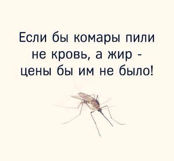 Если бы комары пили не кровь а жир цены бы им не было к