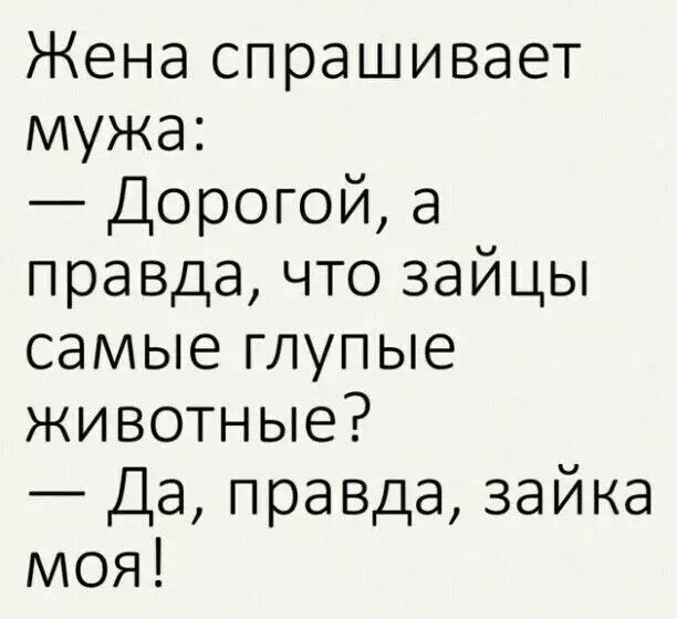 Жена спрашивает мужа Дорогой а правда что зайцы самые глупые животные Да правда зайка моя